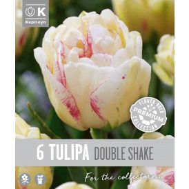 Vorlaukur túlípani Double Shake 6 stk.