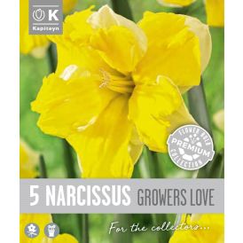 Vorlaukur lilja Growers Love 5 stk