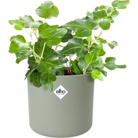 Blómapottur B.For Soft Ø16cm Elho
