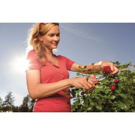 Greinaklippur 22mm Wolff Garten Premium Plus RR4000