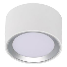 Loftljós LED Fallon hvítt Ø10xH6 cm