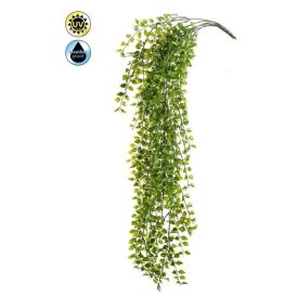 Gerviplanta hengi Emerald 80cm