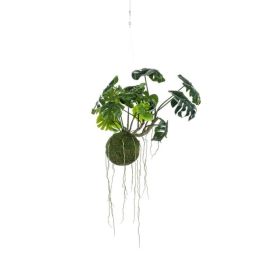 Gerviplanta hangandi monstera Emerald 60cm