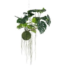 Gerviplanta hangandi monstera Emerald 80cm