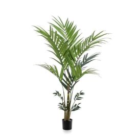 Gerviplanta Kentia pálmi Emerald 180cm