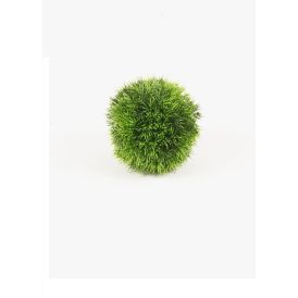 Gerviplanta graskúla Emerald Ø15cm