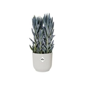 Blómapottur á hjólum Vibes Fold Ø25cm hvítur