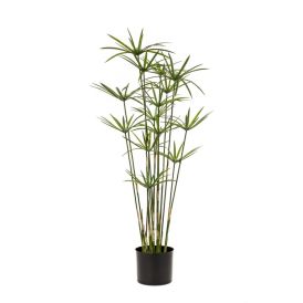 Gerviplanta Cypres Emerald 90cm