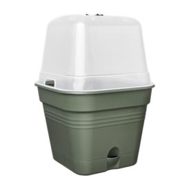 Gróðurbakki Green Basics 30cm grænn
