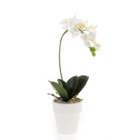 Gerviblóm orkidea Phalaenopsis Emerald 45cm hvít