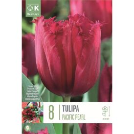 Vorlaukur túlípani Pacific Pearl 8 stk.