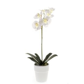 Gerviblóm orkidea Phalaenopsis Emerald 55cm hvít