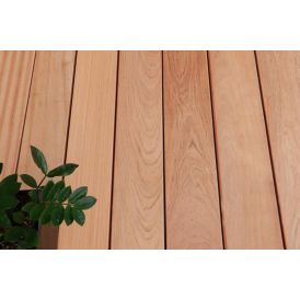 Pallaefni 21x145x2150mm Jatoba