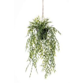 Gerviplanta bambus Emerald 50cm