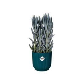 Blómapottur á hjólum Vibes Fold Ø35cm dökkblár
