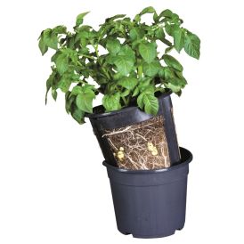 Kartöflupottur PotatoPot Ø30cm  Garden Life