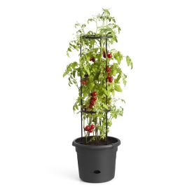 Tómatapottur Green Basics Ø33,5cm Elho svartur