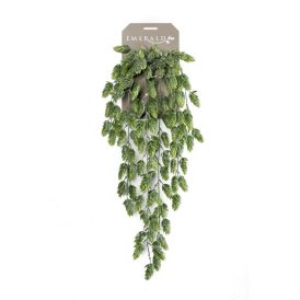 Gerviplanta hangandi Humle Emerald 70cm