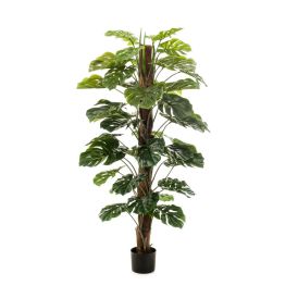Gerviplanta Monstera Emerald 150cm